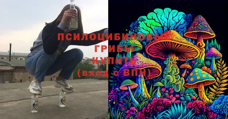 Псилоцибиновые грибы MAGIC MUSHROOMS  Кувшиново 